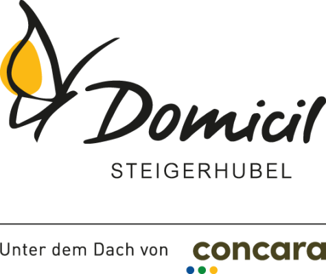 Domicil Steigerhubel