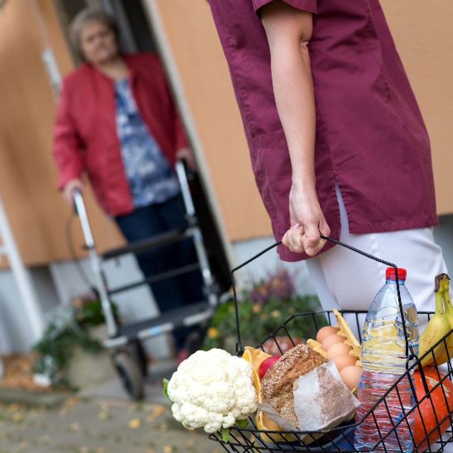 300-in-wenigen-schritten-bestens-betreut