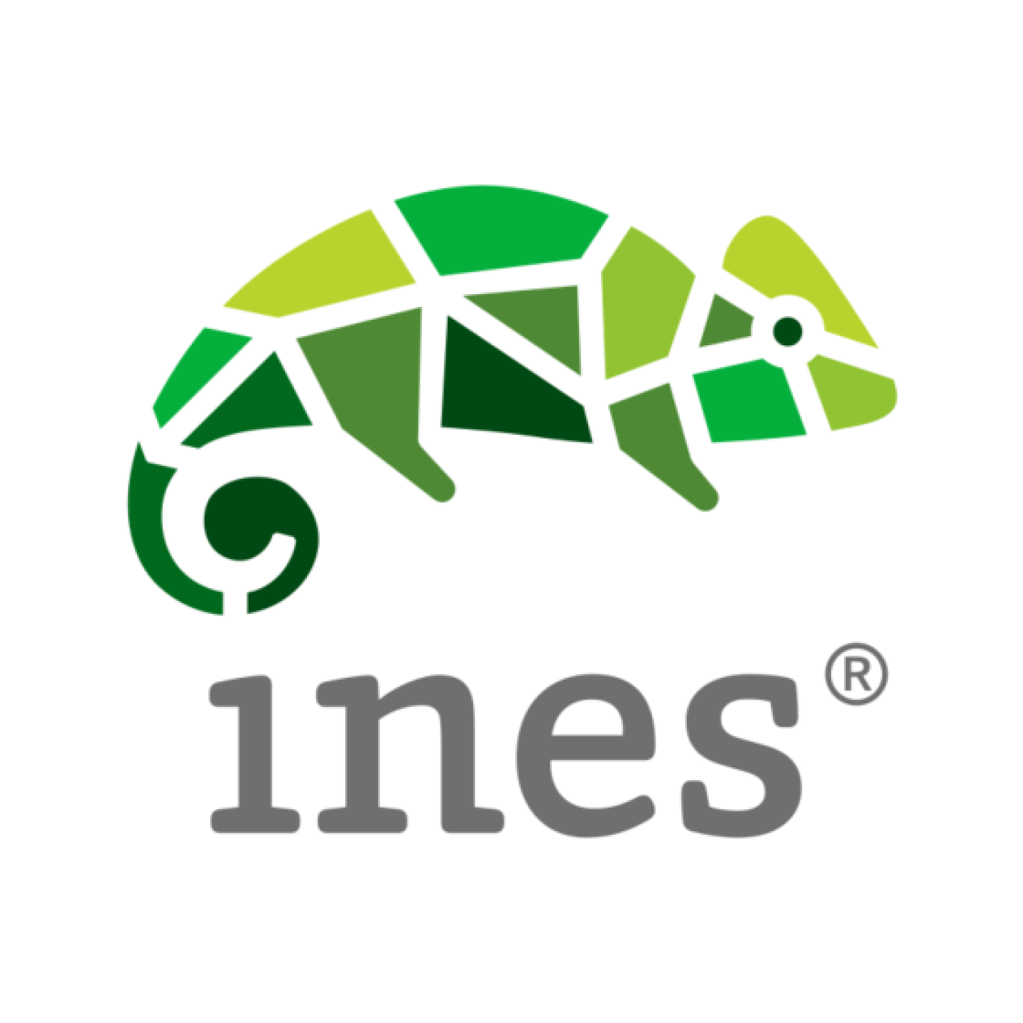 Ines_Logo