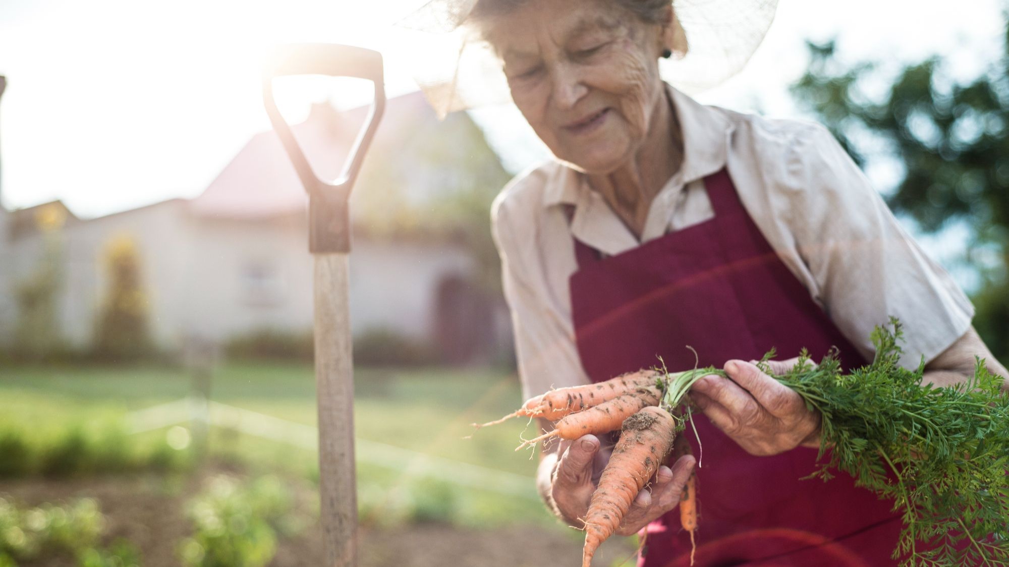 betreuung_frau_im_garten.jpg