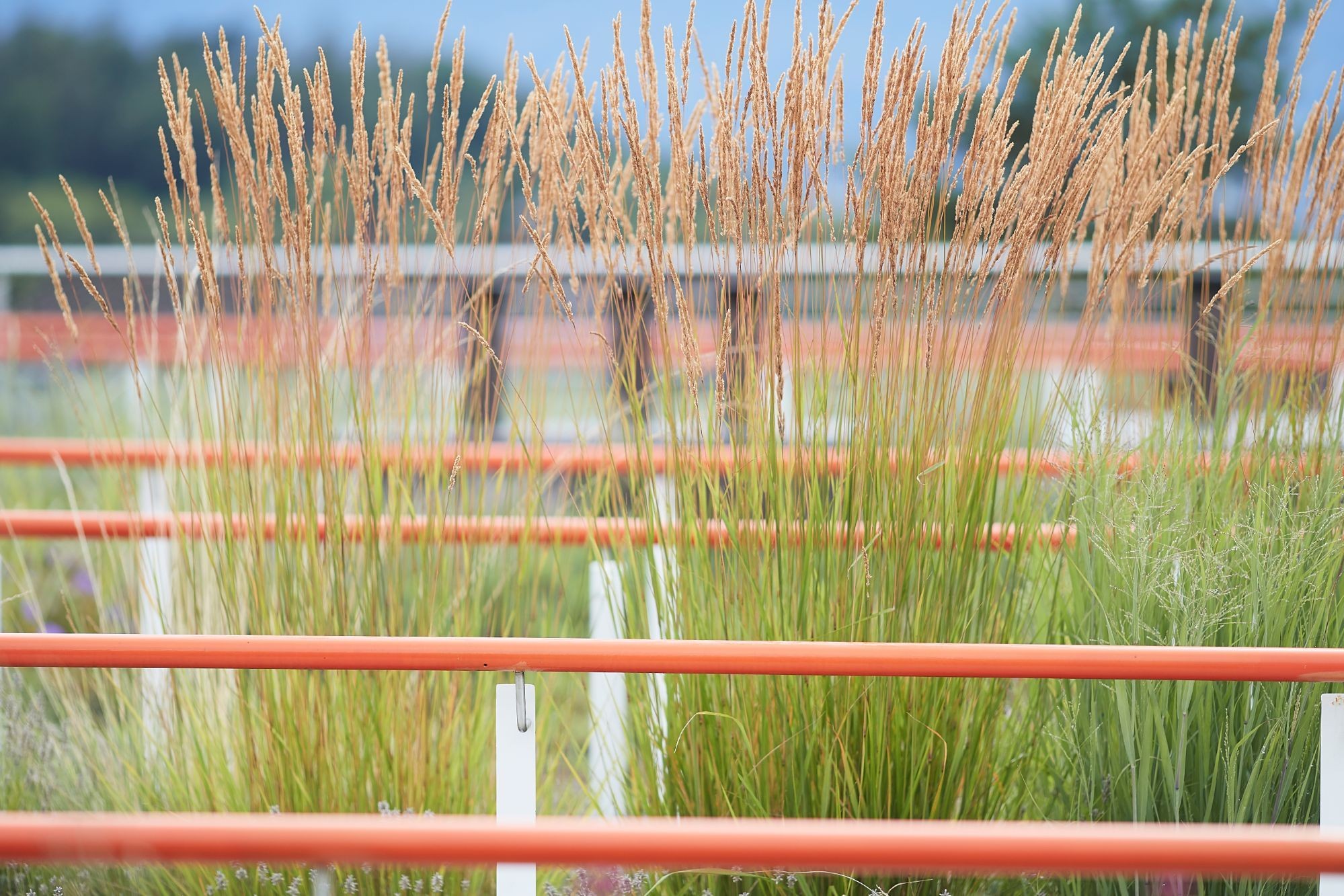 18) Dachterasse 2.jpg