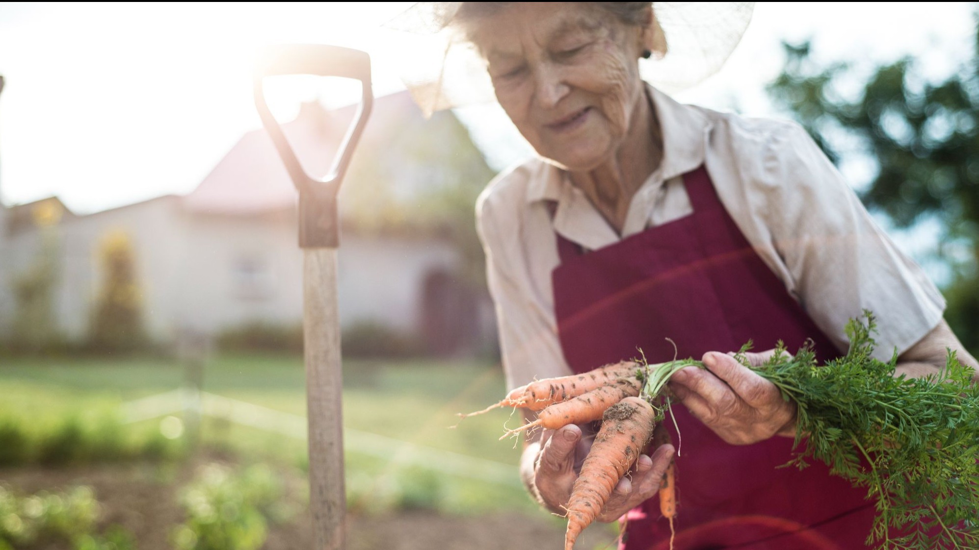 betreuung_frau_im_garten.jpg