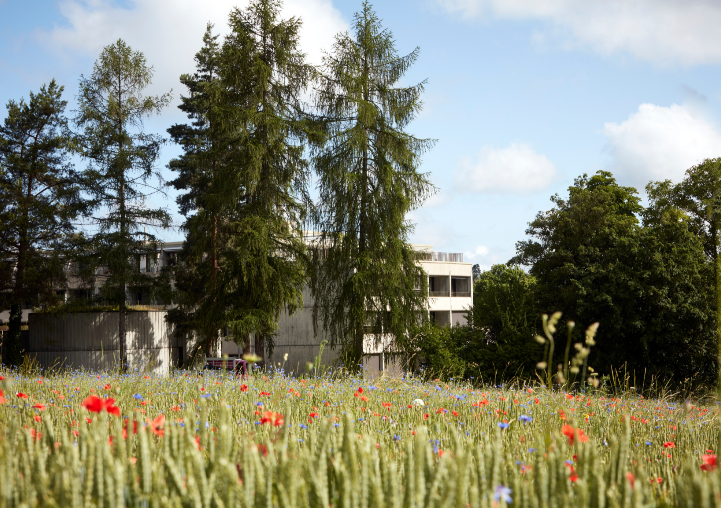 Weyergut Bethanien.png