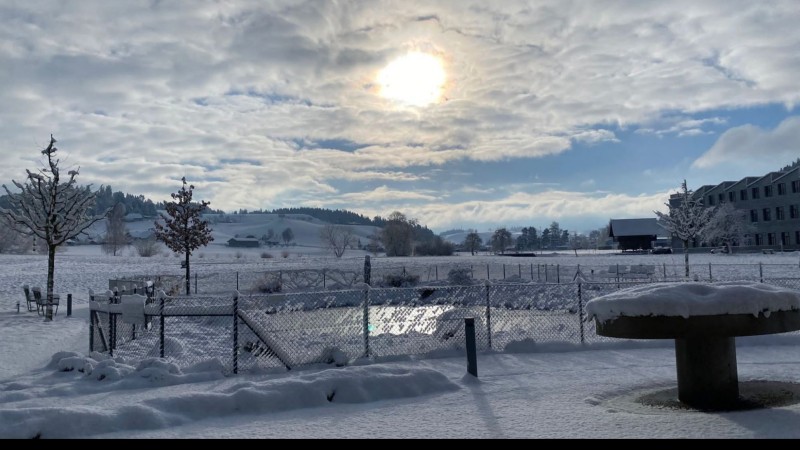 Wintersonnenbild 20240123 von Uschi.jpg