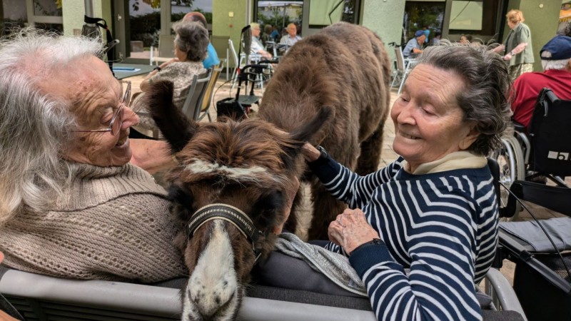 Lamabesuch 2024_9web.jpg