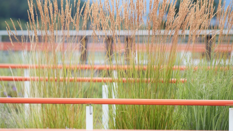 18) Dachterasse 2.jpg