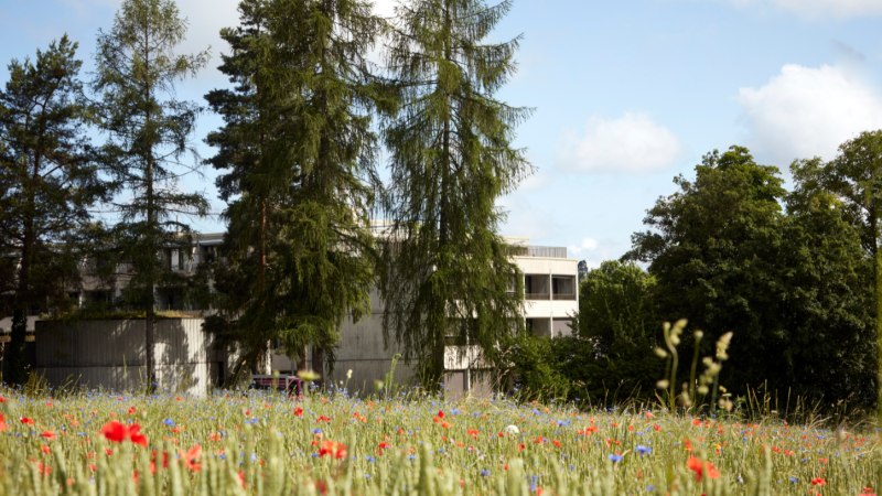 Weyergut Bethanien.png