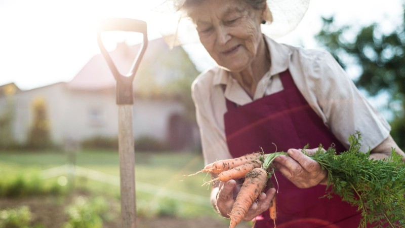 betreuung_frau_im_garten.jpg